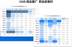 手握CAIE证书